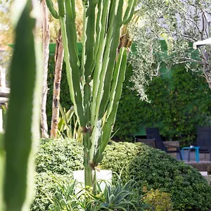 Mercure Centre Notre Dame Niza