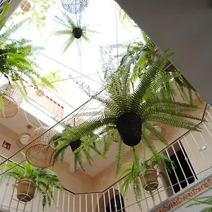 Córdoba , Sevilla España